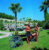 Golden Sun Hotel 